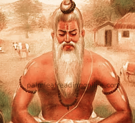 Bhirugu Nadi Astrology