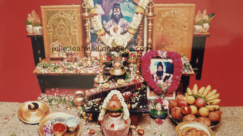 Palm Leaf Chapter & Nadi Chapters